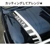 スポーツデルタ　ステッカー【レッド】 - 画像 (2)